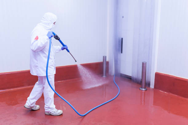 Reliable Prospect, PA Pressure Washing Services Solutions